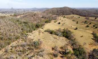 Imagem 6: Excelente Fazenda no Município de Unaí-MG com 125 hectares