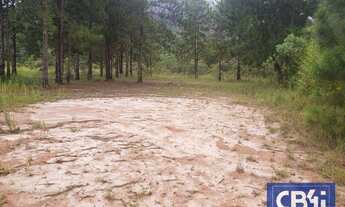 Imagem 5: Terreno à venda, 1.690.000 m² por R$ 90.000.000 - Itaipava - Petrópolis/RJ