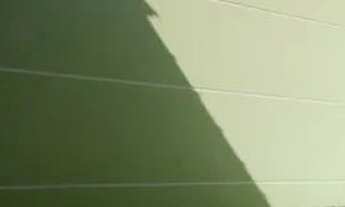 Imagem 6: Sobrados novos Casa com 2 dormitórios