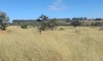 Imagem 5: Chácara a venda