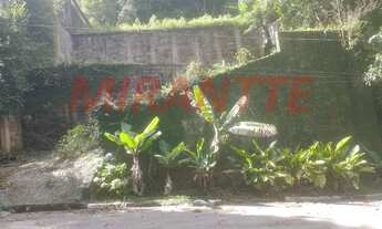 Imagem 2: Terreno em Centro