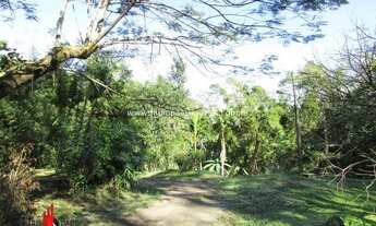 Imagem 7: Imobiliária Fabio Paes - Sítio a venda com 6.8 ha (68.000 m²) com córrego e muita natureza