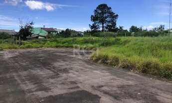 Imagem 4: Terreno para Venda - 0m², 0 dormitórios, Restinga