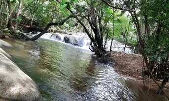 Imagem 5: Vendo fazenda no município de Formoso GO