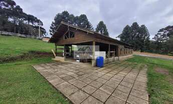 Imagem 7: Sítio à venda no bairro Centro - Campo Alegre/SC