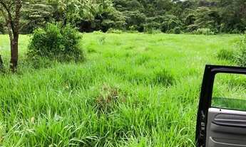 Imagem 6: . Uma Fazenda 307 Alqueires município de Monte do Carmo Tocan