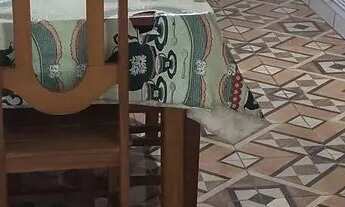 Imagem 3: Vendo casa Casa com 3 dormitórios