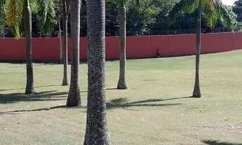 Imagem 7: Casa a venda em Avenida