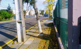 Imagem 7: Aluga quartos R$ 550,00 Novo Mundo