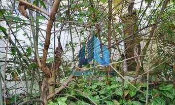 Imagem 4: Casa com 3 dormitórios à venda por R$ 650.000 - Bom Pastor - Juiz de Fora/MG