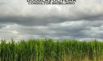 Imagem 4: Fazenda 105 Alqueires Região De Aparecida Do Taboado/MS