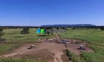 Imagem 2: FAZENDA À VENDA - 2.500 HECTARES - JAÍBA (MG