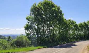 Imagem 3: Área de terra no interior de Monte Belo do Sul