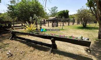 Imagem 6: FAZENDA À VENDA - 1.005 HECTARES - CURVELO (MG