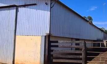Imagem 3: PROPRIEDADE BEIRA DE RODOVIA 21 ALQUEIRES EM SANTA ALBERTINA - SP