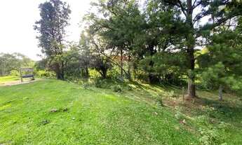 Imagem 2: Excelente área para investimento em ecoturismo em Valinhos!