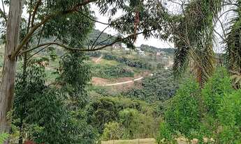 Imagem 6: TERRENO RESIDENCIAL em NOVA PETRÓPOLIS - RS, Piá