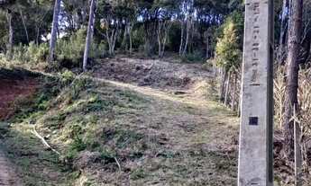 Imagem 2: Seu Refúgio na Natureza Terreno de Chácaras, Campina Grande do Sul