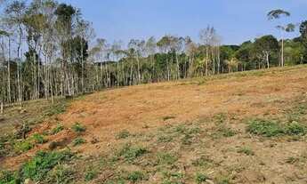 Imagem 2: Chacara belas Áreas Roseira Colombo/ Campina Grande do Sul