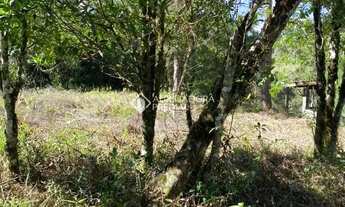 Imagem 5: Terreno de 430 m2 no Bairro Vivendas do Arvoredo