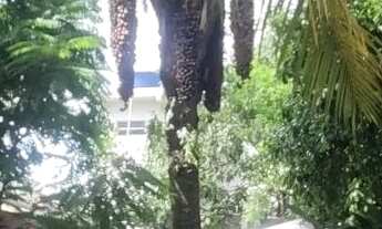 Imagem 6: Vendo casa em área comercial aceito proposta