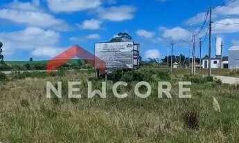Imagem 2: Lote em RS 020 - Distrito industrial - São Francisco de Paula/RS