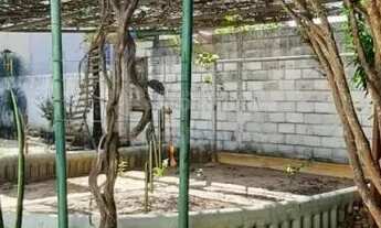 Imagem 7: Ótima chacara próximo aos Damhas