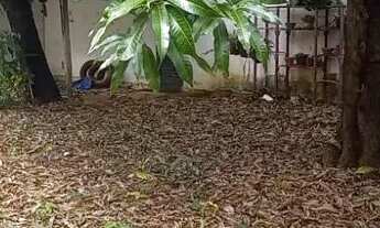 Imagem: Imóvel para aluguel possui 450 metros quadrados