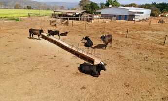 Imagem 4: Fazenda com pivô em Unaí em Minas Gerais, à venda com 125ha