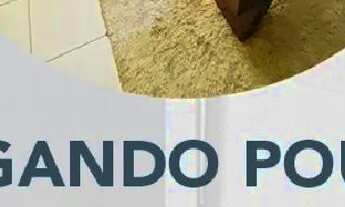 Imagem 5: Com e sem suite, com areas mobiliadas, com permissão de pets e internet de brinde