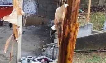 Imagem 3: Terreno em Vila Pereira Barreto - São Paulo