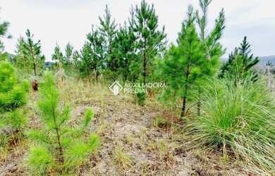 Imagem 8: Terreno no loteamento Res. Morada do Valle, próximo a Igreja Nossa Senhora das Graças
