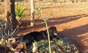 Imagem: Chácara condomínio Estância Bela Vista