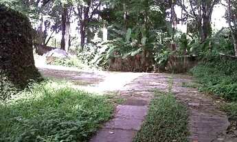 Imagem 5: Excelente sítio no melhor ponto de Pendotiba