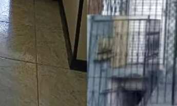 Imagem: Prédio a venda completo