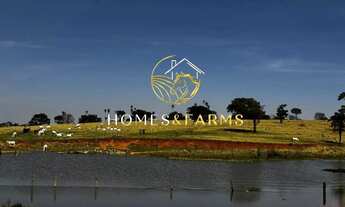 Imagem 2: Fazenda à Venda em Goiás