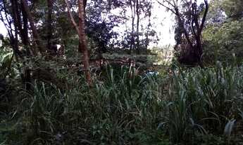 Imagem 7: TERRENO - Terreno Comercial