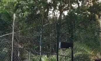 Imagem: Apartamento a venda condominio 10 Rocha