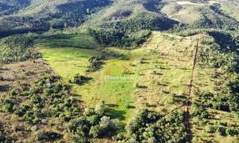 Imagem 2: Fazenda com 10 Alqueires na Zona Rural de Palmas - Sentido Lajeado á 45 km do Centro