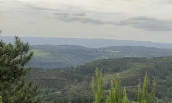 Imagem: SÍTIO 24 HECTARES COM VISTA PANORÂMICA