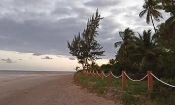 Imagem 3: VENDO LOTES A BEIRA MAR, EM ALAGOAS, JAPARATINGA