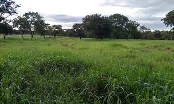 Imagem 2: Chacara próxima ao balneário Lagoa Rica e aeroporto Santa Maria