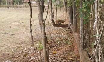 Imagem 5: São José do Rio Preto - Chácara - Estância São João