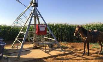 Imagem: 156 hc com 92 hc de pivor apenas 170 km