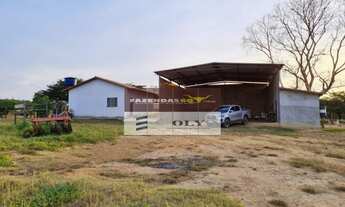 Imagem 3: Fazenda Extra - Região Goianésia-GO. São 24 Alqueires !