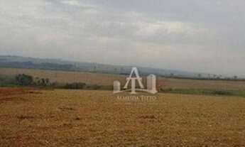 Imagem 2: Excelente Fazenda para Venda na Região de Ourinhos - SP - Confira!!!!