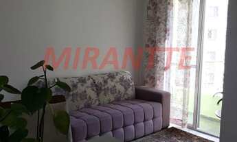 Imagem 2: Lindo apartamento em Vila Amelia