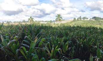 Imagem 6: Comece a Investir em Terrenos no Interior em Ibiúna SP