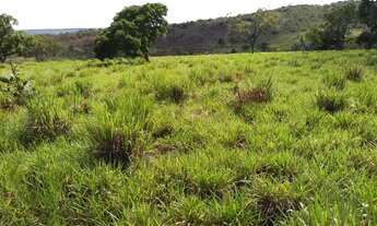 Imagem 2: Fazenda 103 Alqueires em Minas Gerais