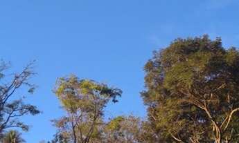 Imagem 5: Lote/terreno à venda em Belo Horizonte